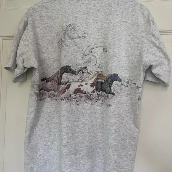 Gray Dixie Stampede Pigeon Forge T-Shirt - Picture 3 of 5
